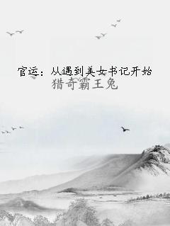 官运：从遇到美女书记开始