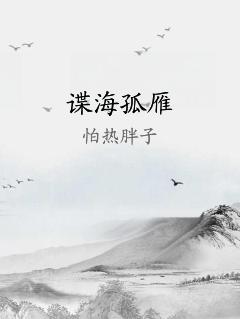 谍海孤雁