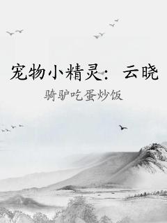 宠物小精灵：云晓