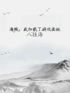 海贼：我加载了游戏面板