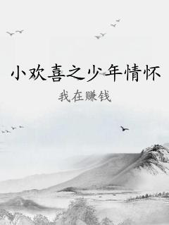 小欢喜之少年情怀