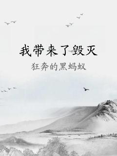 我带来了毁灭