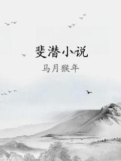 斐潜小说