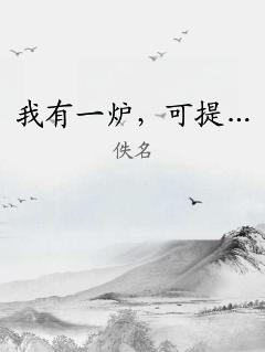 我有一炉，可提…